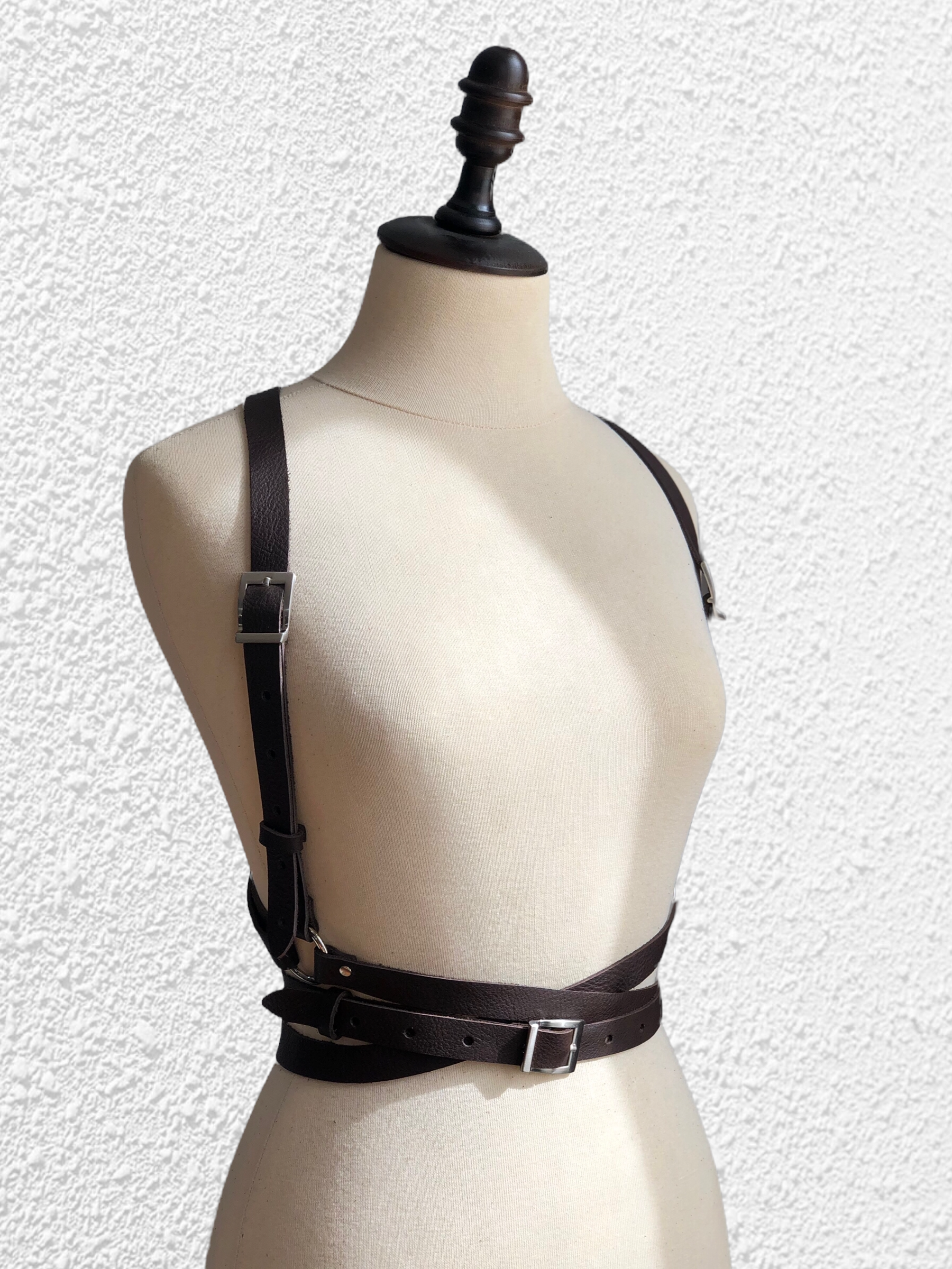 Body harness